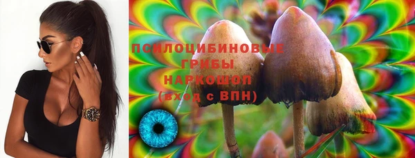 mdma Бородино